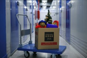 Self Storage - China Self Storage - Reit