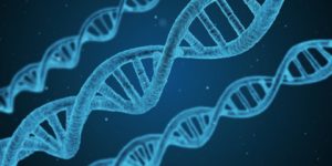 DNA String - Bio - Aktien - Zukunft
